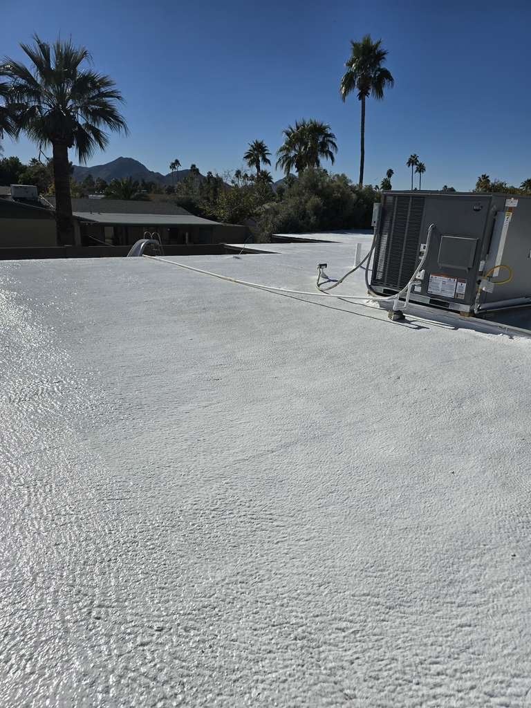 Roof Coating project